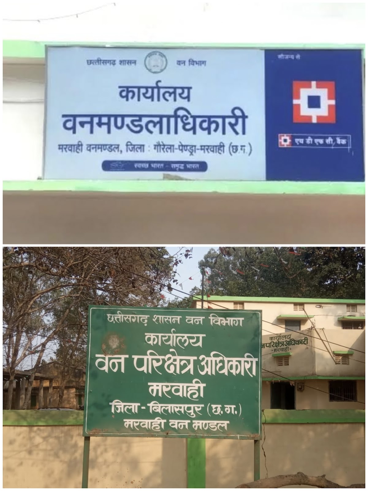 गौरेला ,पेन्ड्रा, मरवाही ,वन विभाग मे भालू ही भालू पर चारो ओर भ्रस्टाचार का साया, मरवाही, खोडरी, और गौरेला रेंज चल रहा है एक प्राइवेट लिमिटेड कंपनी की तरह, सभी रेंजरो की मनमानी आसमान में,जरुरत है मुख्यमंत्री मंत्री और वन मंत्री को संज्ञान में ले कर क