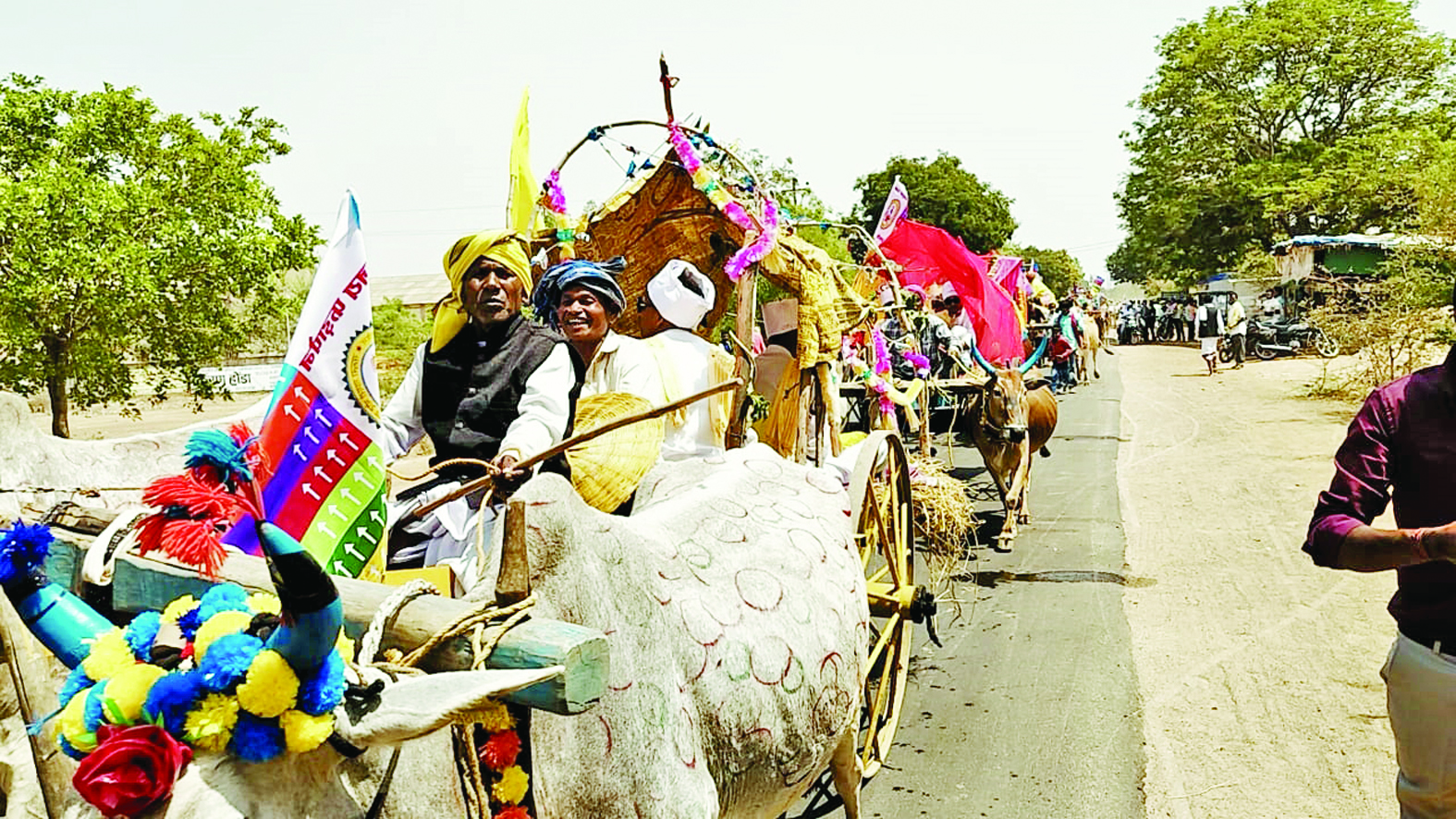 बैलगाड़ियों में निकली बारात ,आदिवासी परंपरा की अनूठी मिसाल जानिए ...