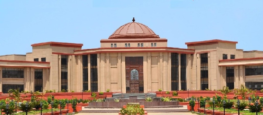 राष्ट्रीय राजमार्गों पर अतिक्रमण और मवेशियों के मामले में हाईकोर्ट सख्त, दो सप्ताह में कार्ययोजना पेश करने के निर्देश