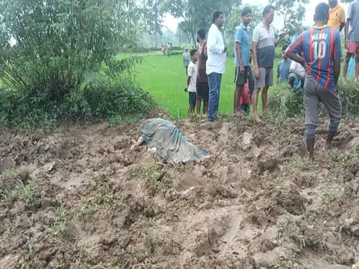 छत्तीसगढ़: हाथियों के हमले से सरगुजा में 24 घंटे में 4 की मौत, वन विभाग की लापरवाही पर उठे सवाल