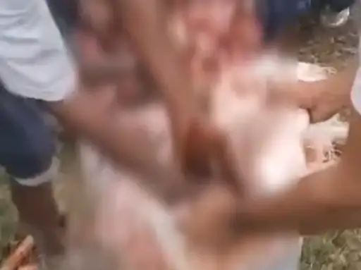 53c0c36e-3c9d-43d4-a418-6b2587b358c7_1754544706147