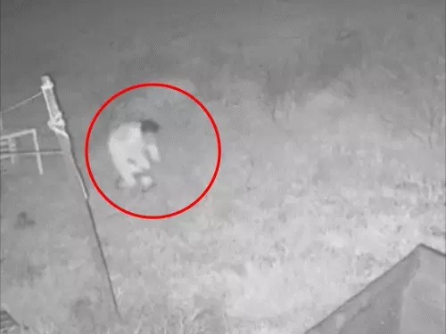 पूर्व डिप्टी सीएम टीएस सिंहदेव के निवास में चोरी, पीतल से बनी 15kg वजनी हाथी की मूर्ति गायब, CCTV में कैद चोर की हरकत, मामला दर्ज 