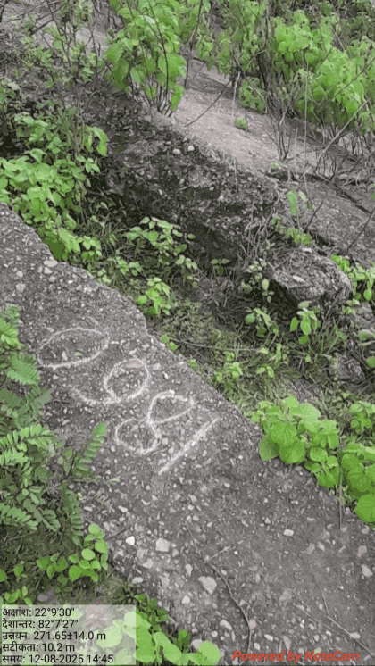 GIF_20250813_095626_082