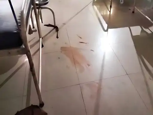 whatsapp-image-2025-08-10-at-19492493a68da3_1754835997