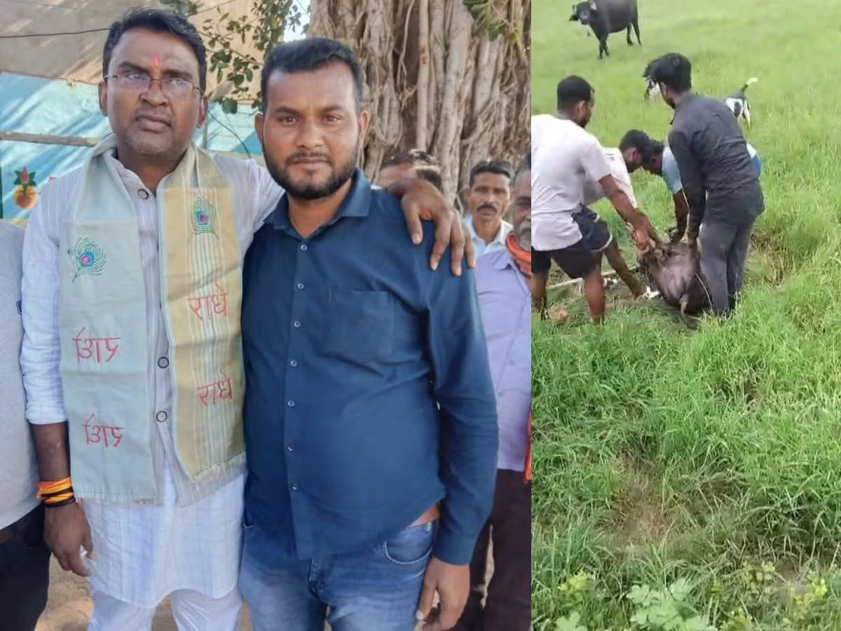 मध्य प्रदेश में जंगली सुअर के शिकार का वीडियो वायरल, वन मंत्री के करीबी पर लगे गंभीर आरोप, पुलिस जांच में जुटी