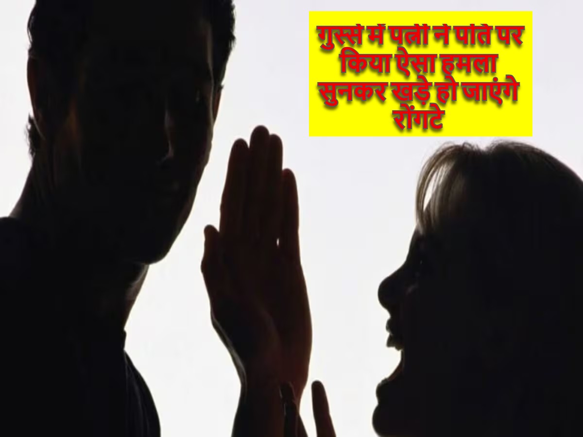 रायगढ़ में घरेलू विवाद बना हैवानियत की मिसाल: गुस्से में पत्नी ने पति पर किया ऐसा हमला कि सुनकर खड़े हो जाएंगे  रोंगटे 