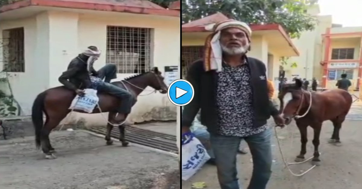 जब कोर्ट बनी बारात! घोड़े पर सवार होकर पहुंचा आरोपी, देखकर सब रह गए दंग, वीडियो वायरल
