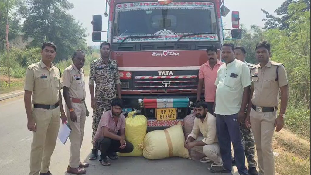 छत्तीसगढ़ पुलिस का बड़ा एक्शन! 60 किलो गांजा के साथ दो तस्कर गिरफ्तार, ओडिशा से यूपी जा रही थी खेप