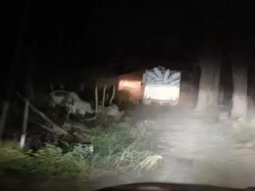 comp-119-11763273451_1763318523