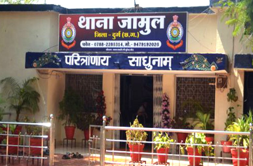 image_search_1763869463828