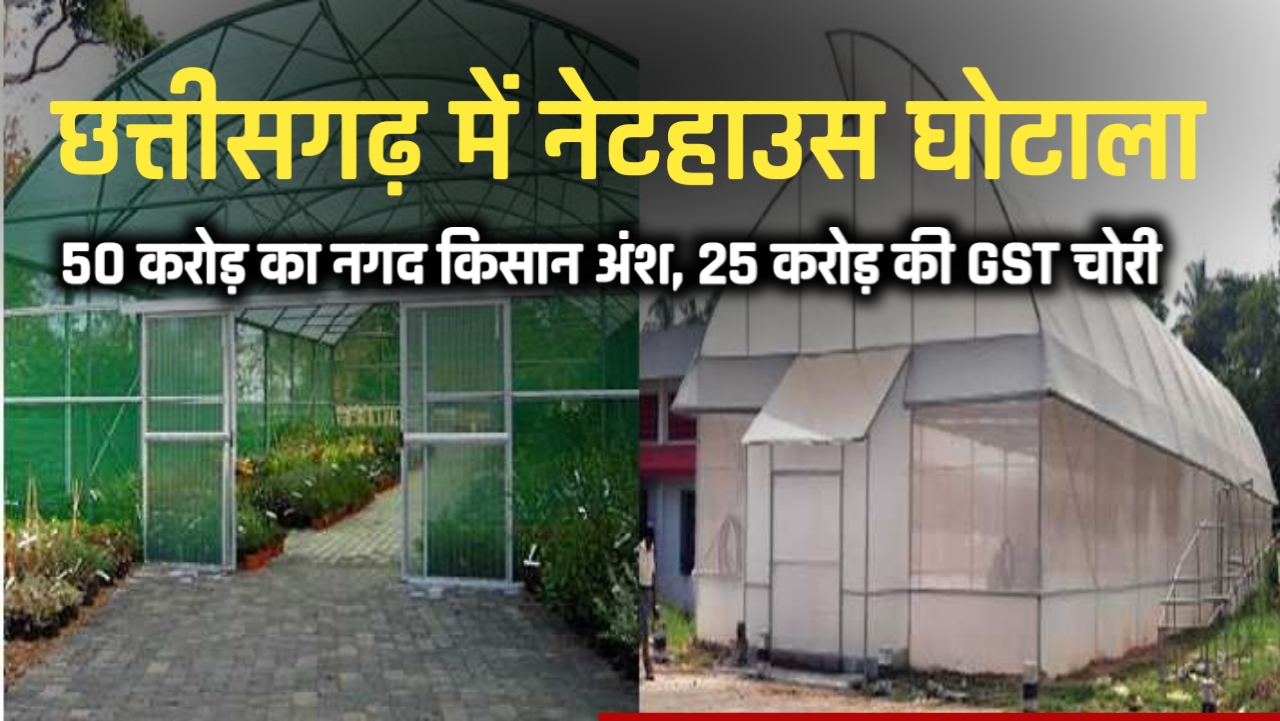 छत्तीसगढ़ में नेटहाउस घोटाला: 50 करोड़ का नगद किसान अंश, 25 करोड़ की GST चोरी 