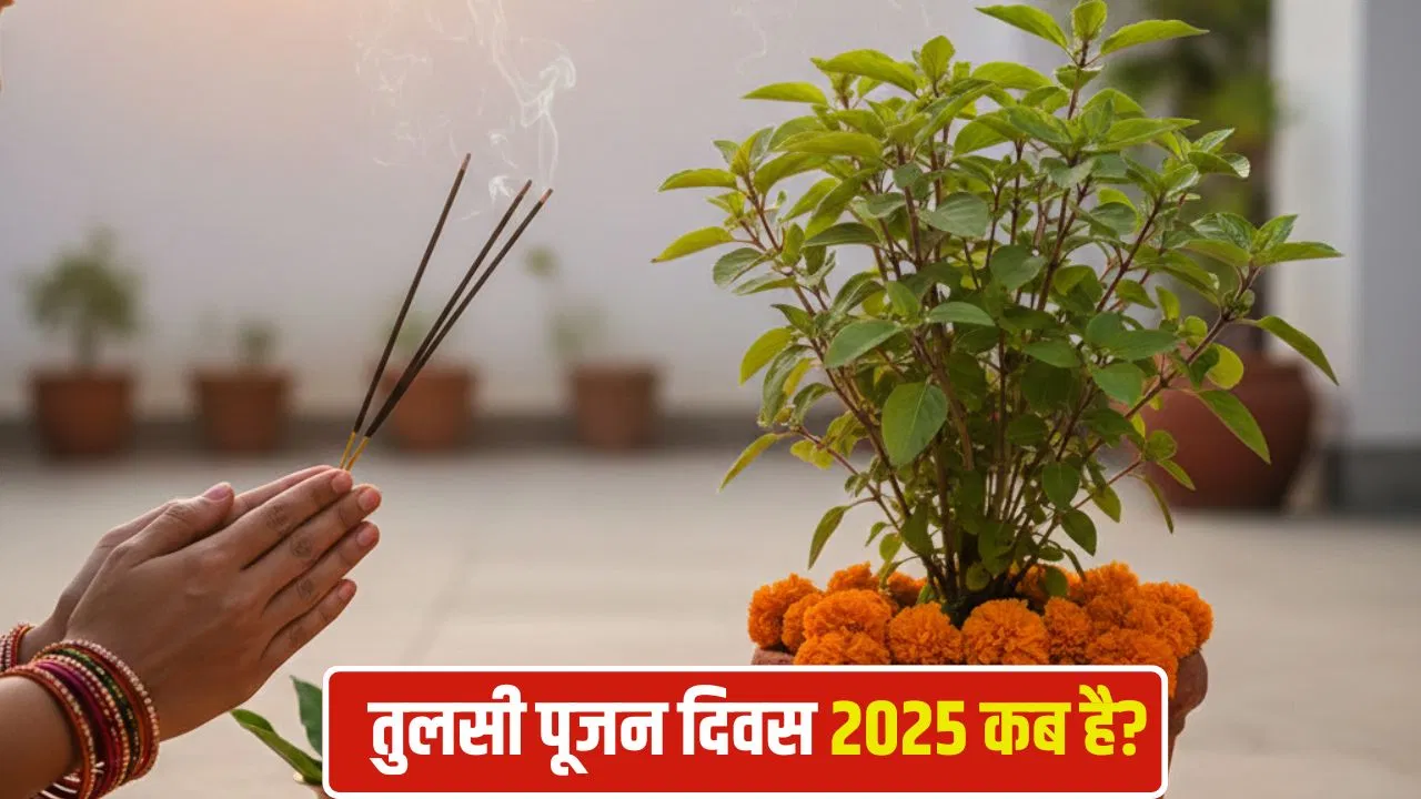 Tulsi Pujan Diwas 2025: दिसंबर में किस तारीख को है तुलसी पूजन दिवस? जानें शुभ मुहूर्त और पूजा विधि