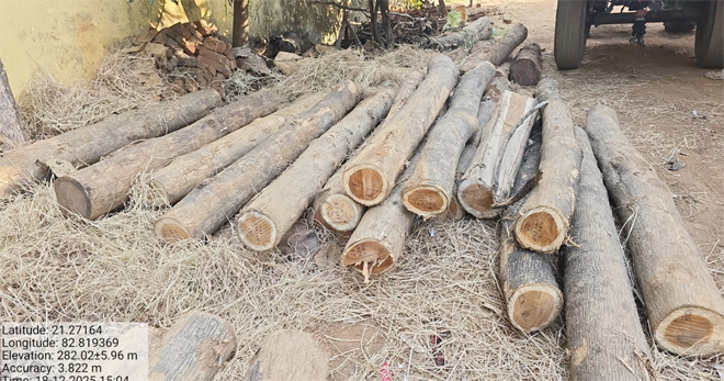 महासमुंद में वन विभाग का बड़ा एक्शन: फर्नीचर मार्ट से अवैध सागौन व मशीनें जब्त