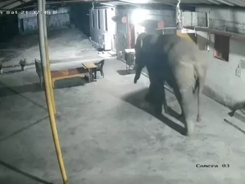 comp-139-2_1765095413