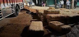 ओडिशा से राजस्थान जा रहा था गांजा, बलरामपुर पुलिस ने ट्रक समेत पकड़ा 6 करोड़ का माल