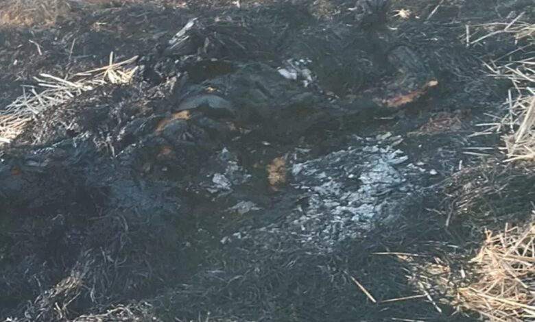 दुर्ग में प्रेमी ने 6 साल बड़ी प्रेमिका की हत्या कर जलाया शव, शादी के दबाव में किया खौफनाक कांड, जांच में जुटी पुलिस 