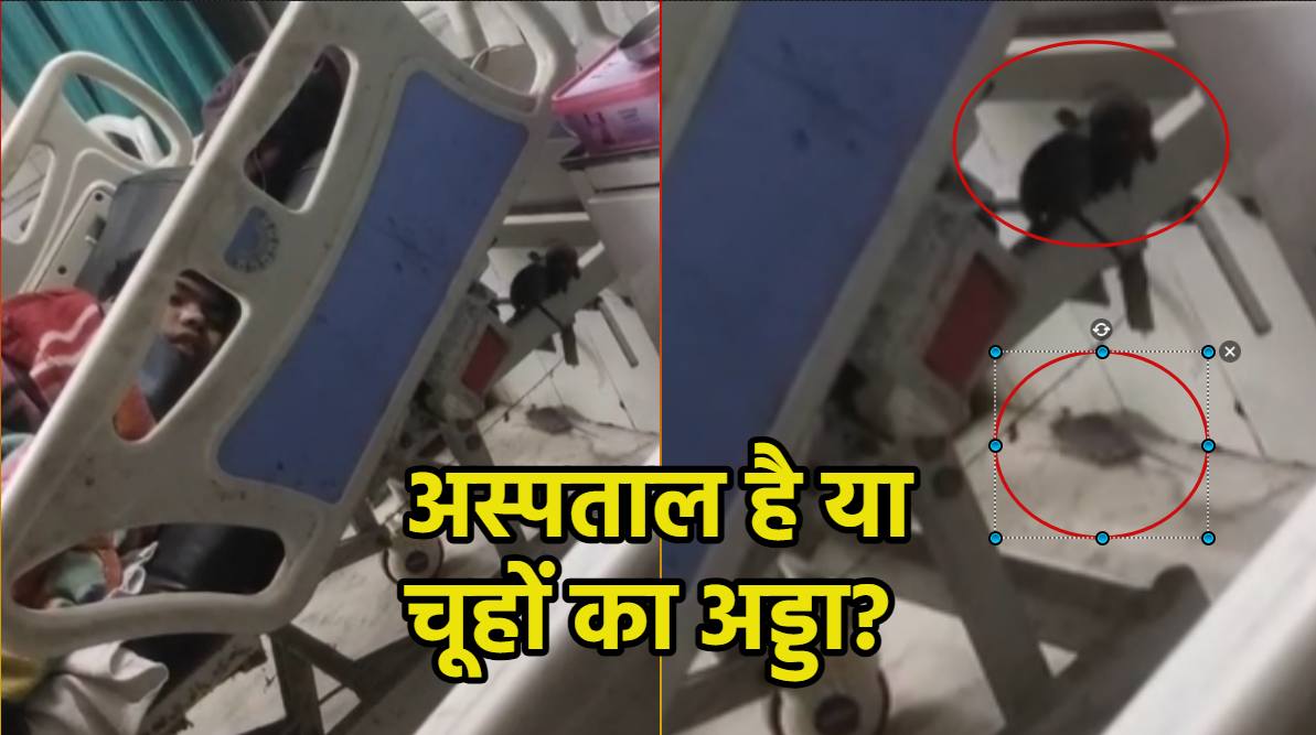स्वास्थ्य विभाग की खुली पोल: ICU में मरीजों के बीच चूहों का धमाल