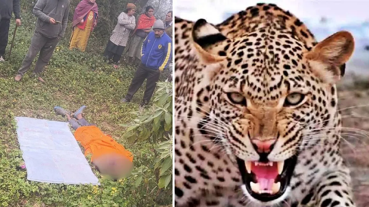 हिमाचल के मंडी में तेंदुए का आतंक: हमले में युवक की मौत, 5 घायल, बुजुर्ग की सूझबूझ से टली बड़ी अनहोनी, ग्रामीणों ने तेंदुए को मार गिराया