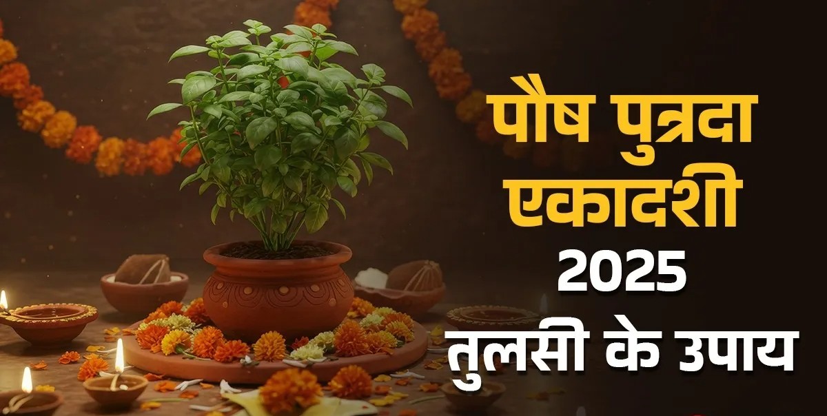 Paush Putrada Ekadashi 2025: पौष पुत्रदा एकादशी पर करें तुलसी से जुड़े उपाय, होंगे मालामाल