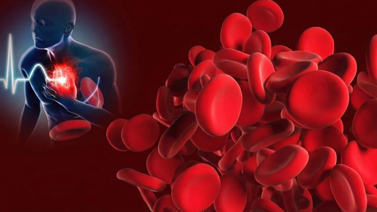सर्दियों में क्यों नसों में जमने लगता है खून, क्या इससे बढ़ सकता है हार्ट अटैक का खतरा?
