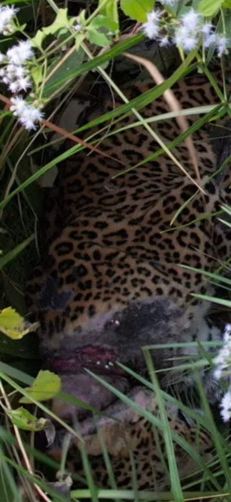 WhatsApp-Image-2025-12-26-at-10.32.50-AM-471x1024