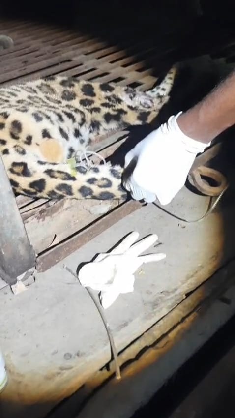 WhatsApp-Image-2025-12-26-at-10.32.51-AM