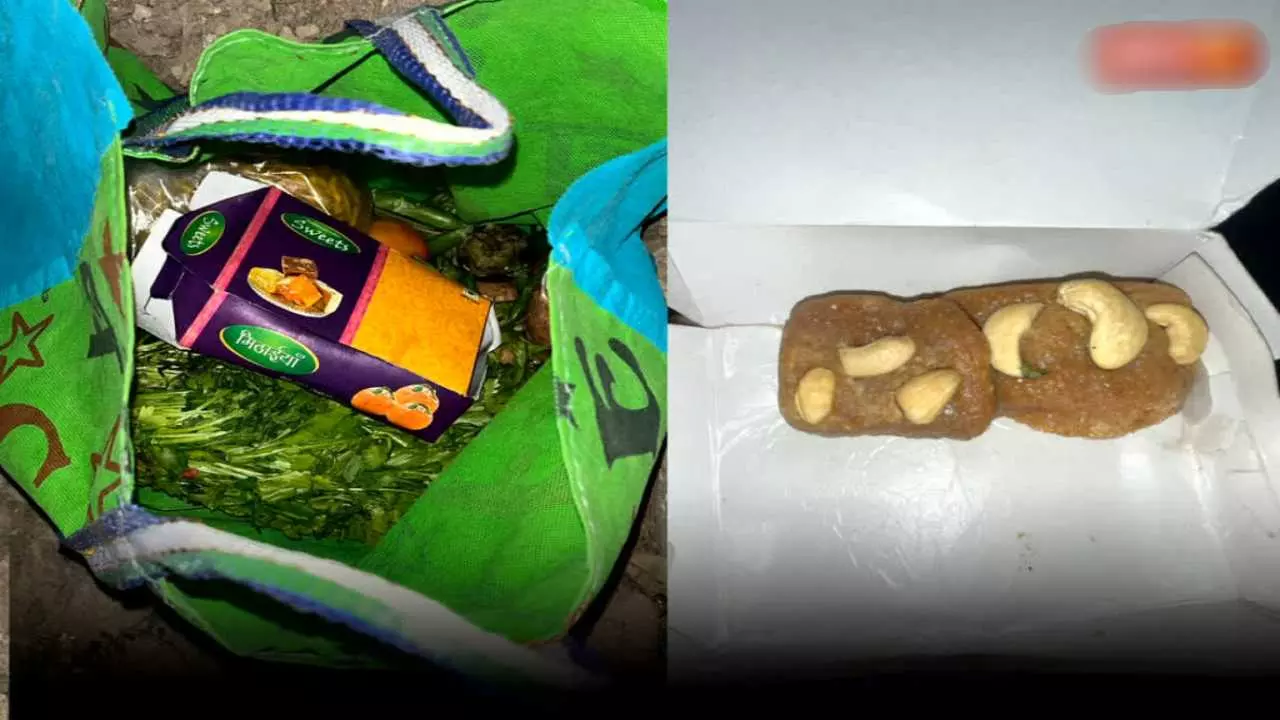 Chhindwara Sweet Poison Case: लावारिस मिठाई ने ली अब तक तीनों लोगों की जान, जांच में जुटे पुलिस और प्रशासन 