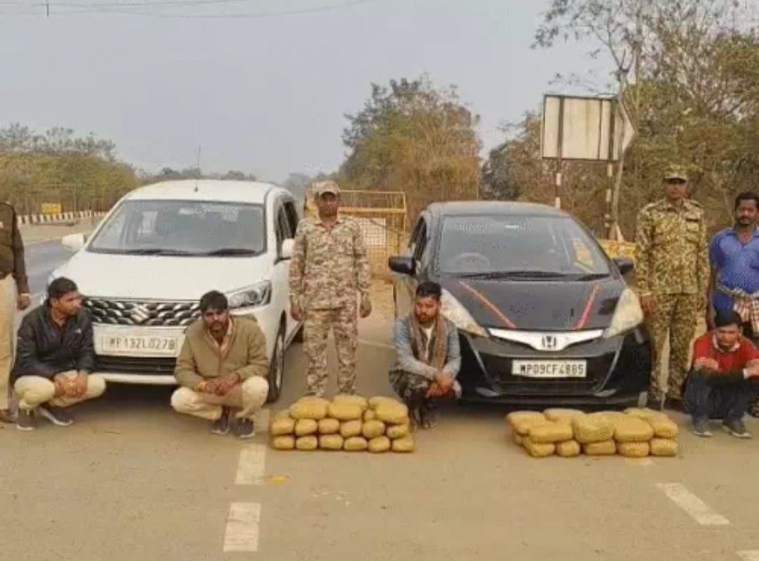 ab8c9f78-0098-4820-99bf-f5ea6b480d66