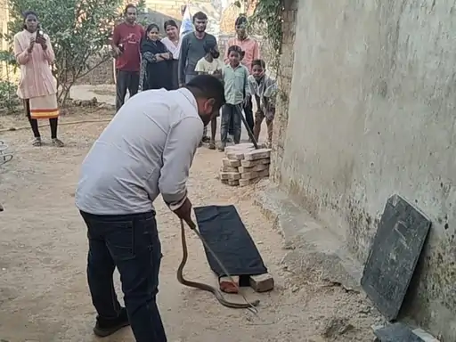 b41c34e6-4e25-44c5-9812-eb6223f3de01_1768372161329