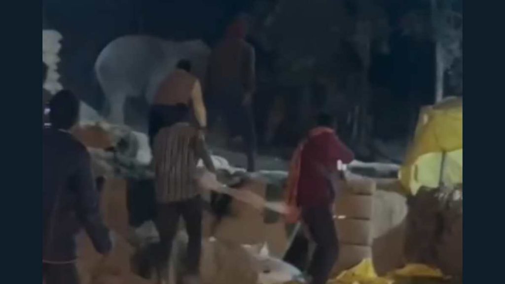 CG News: धान की खुशबू जंगल तक पहुंची! कोरबा के खरीदी केंद्र में घुसा दंतेल हाथी, मची अफरा-तफरी   