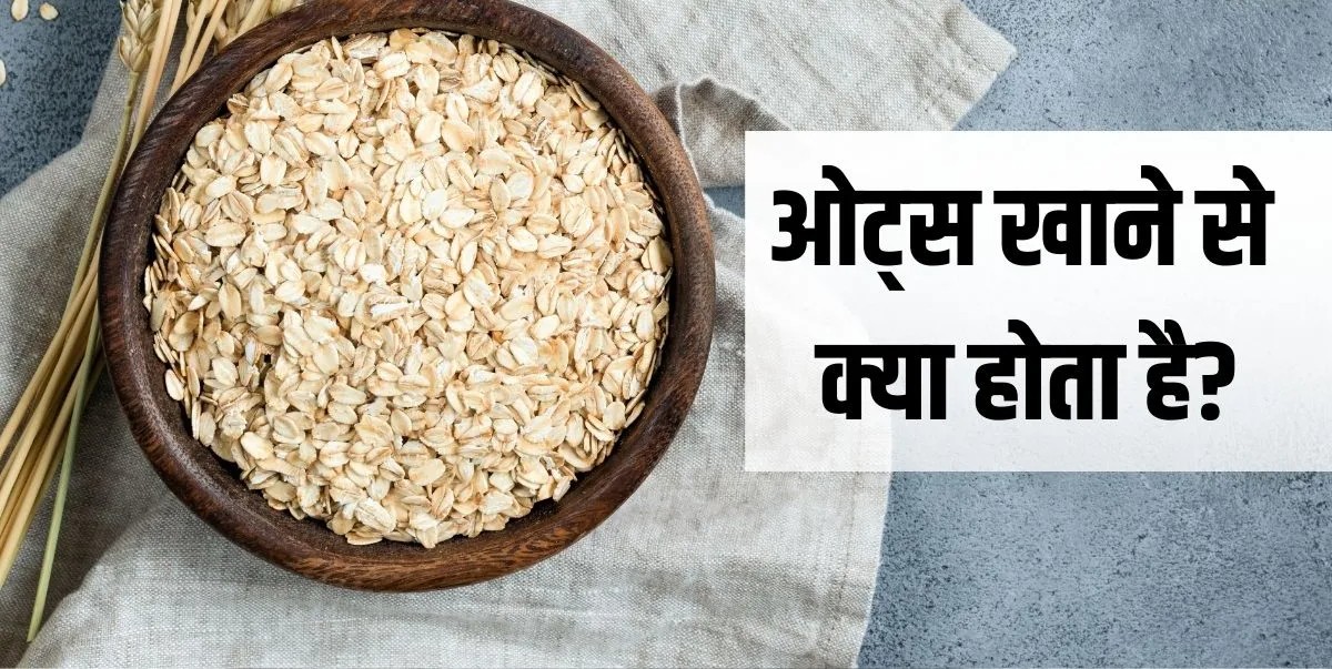 डॉक्टर ओट्स को क्यों मानते हैं परफेक्ट ब्रेकफास्ट? जानिए इसके 5 बड़े फायदे