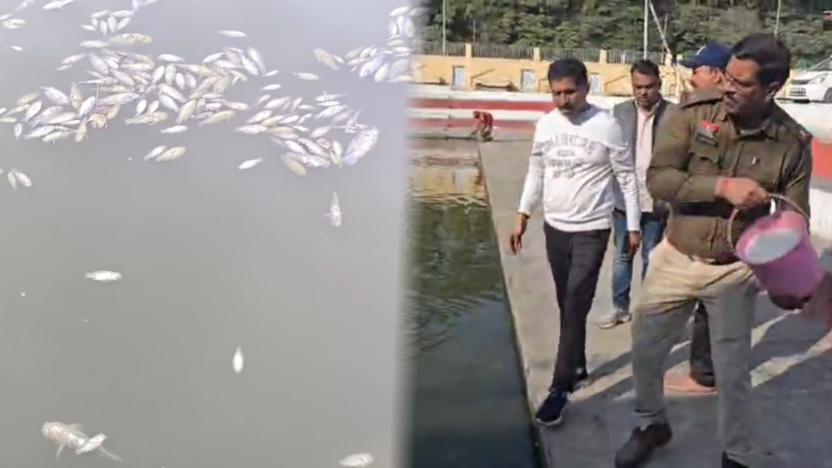 CG News: तालाब में मछलियों की अचानक मौत, ऑक्सीजन की कमी या फंगस ने दी खतरे की घंटी, बचाव अभियान जारी