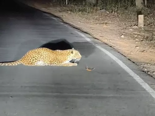 comp-14-3_1768617004