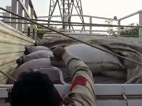 रायगढ़ में 99 हजार रुपये का लावारिस धान, माजदा वाहन छोड़कर चालक फरार! जांच में जुटी पुलिस 