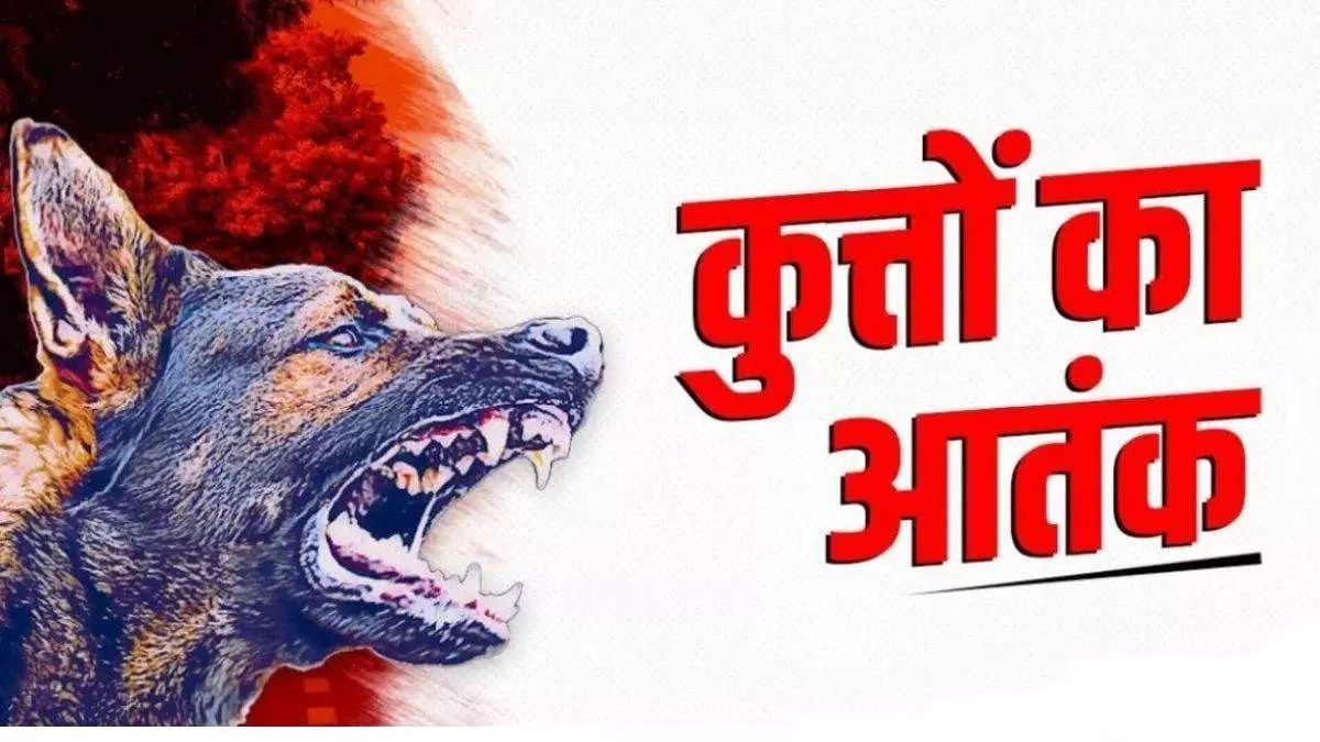 बालोद में डॉग बाइट के मामले तेजी से बढ़े, 24 घंटे में 16 नए केस, 14 दिनों में 47 लोग शिकार, ग्रामीणों में दहशत