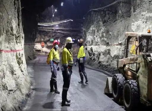 image-2026-01-22t104825771_1769059016