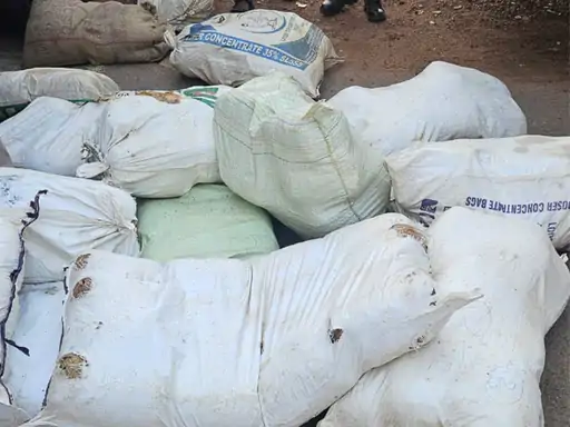 CG NEWS: तिल्दा में गांजा तस्करी का भंडाफोड़, मधु मिश्रा गिरफ्तार, घर की सरप्राइज चेकिंग में 36 लाख का गांजा, नशीली गोलियां, हथियार और नकदी जब्त