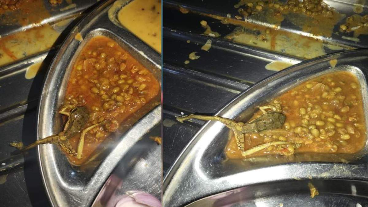 राजनांदगांव डेंटल कॉलेज मेस में लापरवाही की हदें पार: सब्जी में निकला मरा मेंढक, एक्सपायरी और प्रतिबंधित सामग्री बरामद