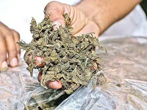 origorig00163981304017083763001716840220_1769663773