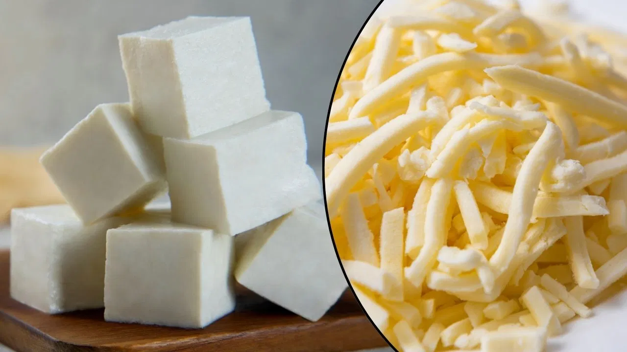 Paneer vs Cheese: पनीर से क्यों बेहतर है Cheese ? एक्सपर्ट ने बताया, जानें