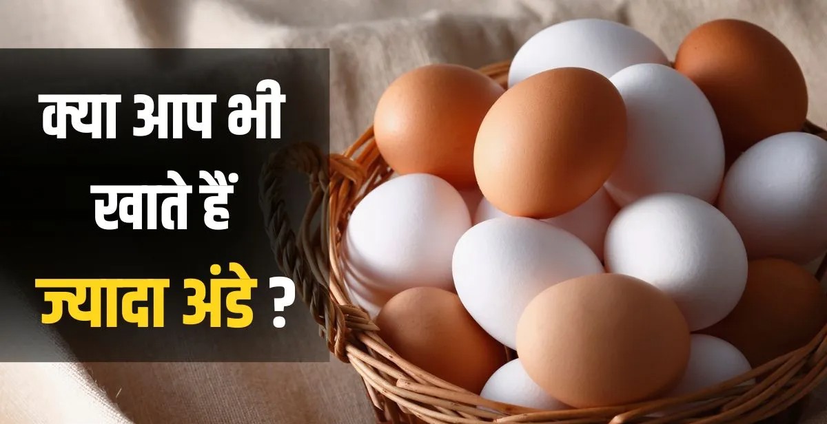 सेहत बनाने के चक्कर में कहीं आप भी तो नहीं खा रहे ज्यादा अंडे? पढ़ें इसके 4 भारी नुकसान