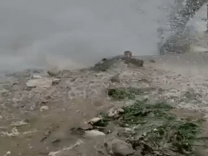 untitled-design-1617517072491763728674_1767534580