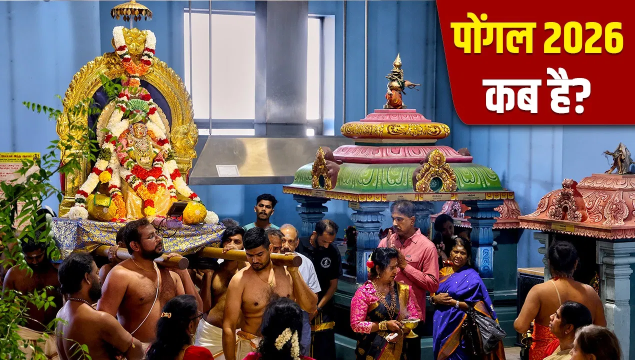 Pongal 2026: 13 या 14 जनवरी, कब है पोंगल? एक क्लिक में दूर करें कंफ्यूजन