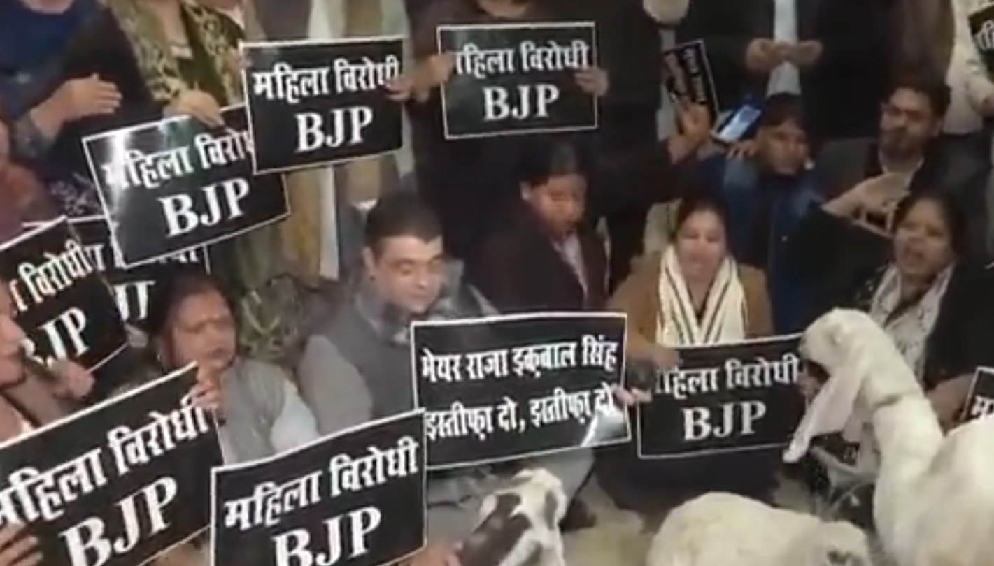 WhatsApp Image 2026-01-15 at 5.43.47 PM