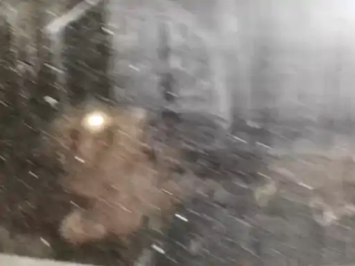 1bf36186-36bc-4389-8122-c638ac8c2c591770562858064_1770567513