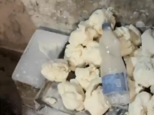 comp-13-5_1770300391