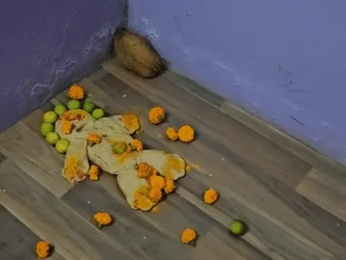 comp-242-11762093750_1770617869