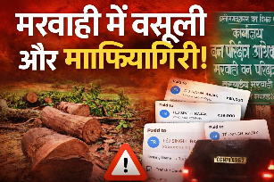 मरवाही में रक्षक ही बने भक्षक रेंजर के ड्राइवर के खाते में घूस के लाखों और सरकारी गाड़ी से अवैध वसूली का खुला खेल..