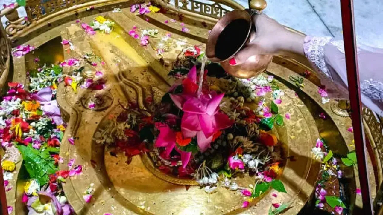 Mahashivratri 2026: महाशिवरात्रि पर घर लाएं ये खास चीजें, मिलेगा महादेव का आशीर्वाद!