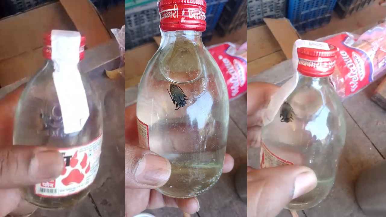 CG News: देसी शराब में कीड़ा! राजनांदगांव की सरकारी दुकान से निकले पौवे का वीडियो वायरल, आबकारी विभाग कटघरे में